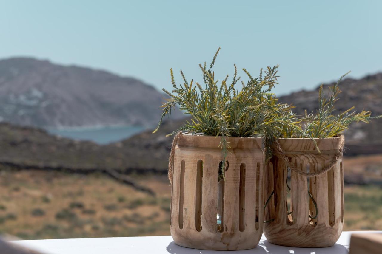 Anemela Villas & Suites Mykonos Agrari  Екстериор снимка