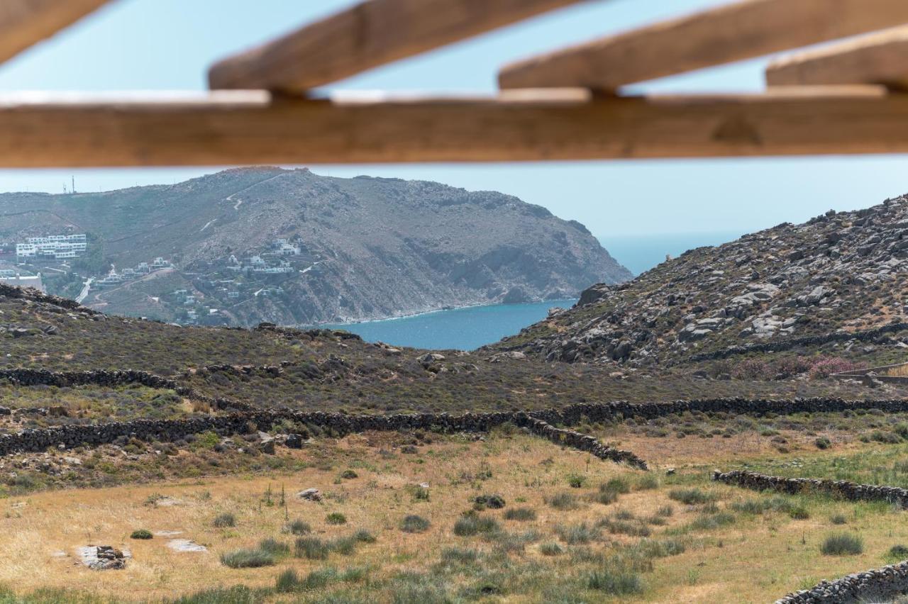 Anemela Villas & Suites Mykonos Agrari  Екстериор снимка